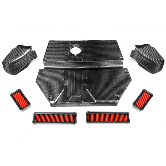 Eventuri karbonové sání pro BMW X4M (F98), model: před faceliftem Eventuri karbonové sání pro BMW X4M (F98), model: před faceliftem