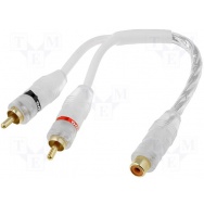 ACV RCA-WH.Y2/1