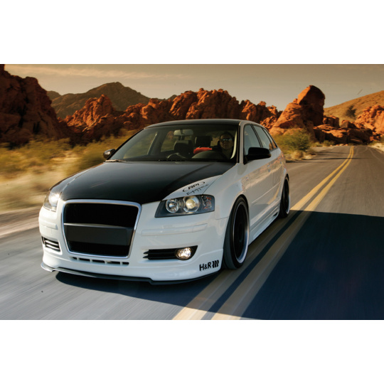 Rieger lipa pod přední nárazník pro Audi A3 8P Sportback, 03/03-, plast ABS bez povrchové úpravy