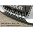 Rieger lipa pod přední nárazník Rieger pro Audi TT 8N kupé, roadster, plast ABS bez povrchové úpravy